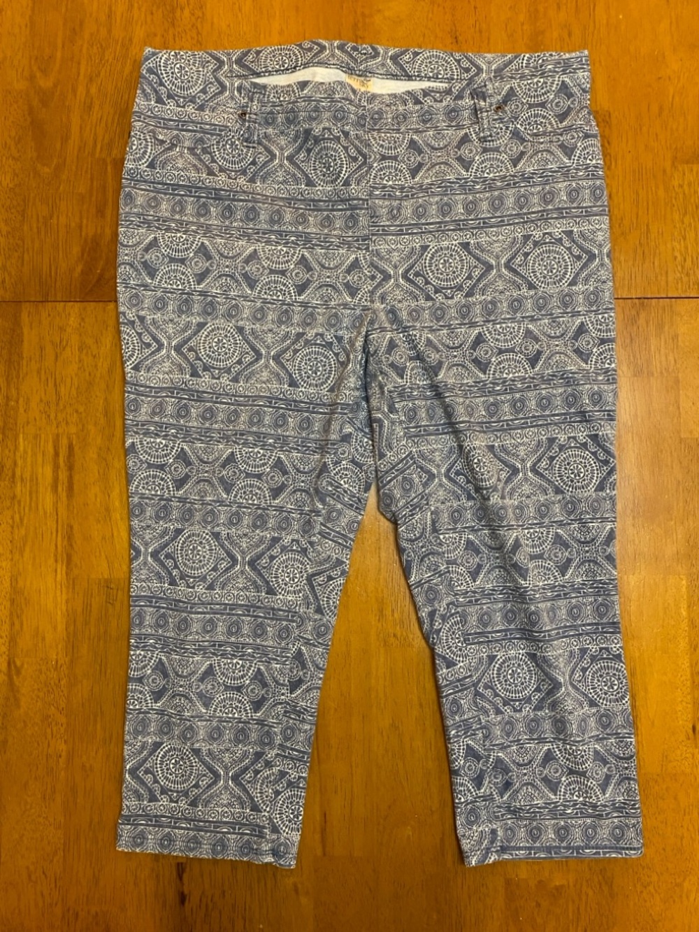 Terra & Sky Capris, Pull on Printed Blue design, Women’s size 1X